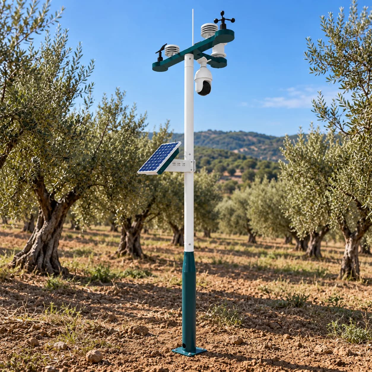 Estación meteorológica agrícola Agropulse con panel solar instalada en un olivar